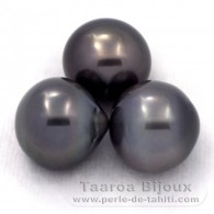 Lot of 3 Tahitian Pearls Semi-Baroque C from 12.5 to 12.8 mm