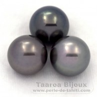 Lot of 3 Tahitian Pearls Round C from 11.6 to 11.9 mm