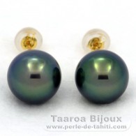 18K solid Gold Earrings and 2 Tahitian Pearls Round C+ 9.9 mm