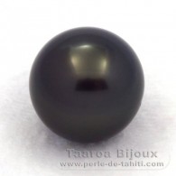 Tahitian Pearl Round C 14.8 mm