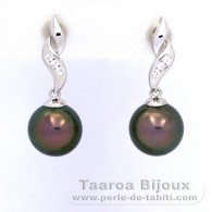 Rhodiated Sterling Silver Earrings and 2 Tahitian Pearls Round C 9 mm