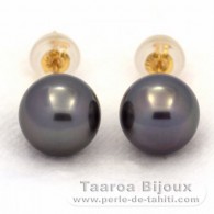 18K solid Gold Earrings and 2 Tahitian Pearls Round B 8.2 mm