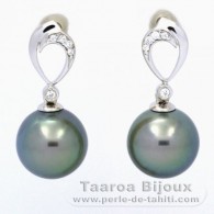Rhodiated Sterling Silver Earrings and 2 Tahitian Pearls Round C 10.5 mm