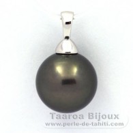 Rhodiated Sterling Silver Pendant and 1 Tahitian Pearl Round C 12.2 mm