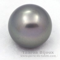 Tahitian Pearl Round B 15.1 mm