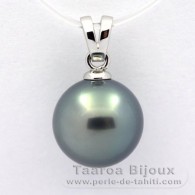 Rhodiated Sterling Silver Pendant and 1 Tahitian Pearl Round C 13 mm