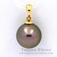 18K solid Gold Pendant and 1 Tahitian Pearl Round B 11.5 mm