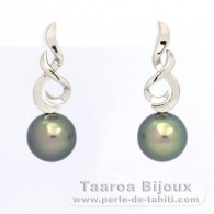 Rhodiated Sterling Silver Earrings and 2 Tahitian Pearls Round C 10.6 mm