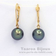 18K solid Gold Earrings and 2 Tahitian Pearls Round B+ 9 mm