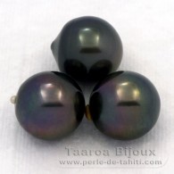 Lot of 3 Tahitian Pearls Semi-Baroque C from 11.5 to 11.9 mm