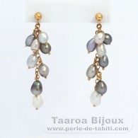 Boucles d'oreilles en Or 18K et 16 Keishis