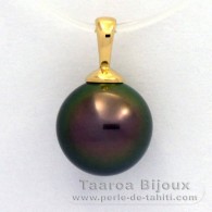 18K solid Gold Pendant and 1 Tahitian Pearl Round B 9.9 mm