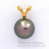 18K solid Gold Pendant and 1 Tahitian Pearl Round B 9.7 mm