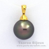 18K solid Gold Pendant and 1 Tahitian Pearl Round B 11.5 mm
