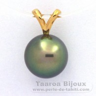 18K solid Gold Pendant and 1 Tahitian Pearl Round B+ 10.1 mm