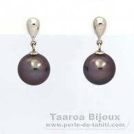 Rhodiated Sterling Silver Earrings and 2 Tahitian Pearls Round C 11.1 mm
