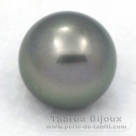 Tahitian Pearl Round C 13 mm