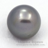 Tahitian Pearl Round C 14.3 mm