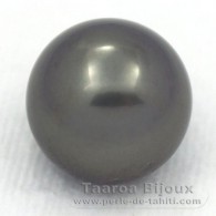 Tahitian Pearl Round C 13 mm