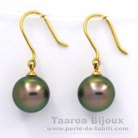 18K solid Gold Earrings and 2 Tahitian Pearls Round B 9.7 mm