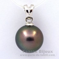 Rhodiated Sterling Silver Pendant and 1 Tahitian Pearl Round C 12.5 mm