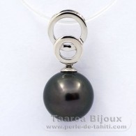 Rhodiated Sterling Silver Pendant and 1 Tahitian Pearl Round C 10.8 mm