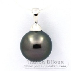 Rhodiated Sterling Silver Pendant and 1 Tahitian Pearl Round C 11.7 mm