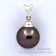 Rhodiated Sterling Silver Pendant and 1 Tahitian Pearl Round C 11 mm