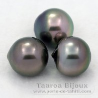 Lot of 3 Tahitian Pearls Semi-Baroque C from 12 to 12.3 mm
