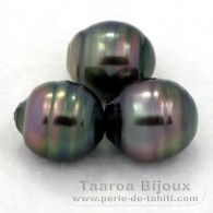 Lot of 3 Tahitian Pearls Ringed C from 12 to 12.2 mm