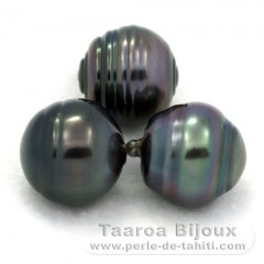 Lot of 3 Tahitian Pearls Ringed C from 12.6 to 12.7 mm