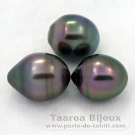 Lot of 3 Tahitian Pearls Ringed B from 10.6 to 10.9 mm