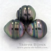 Lot of 3 Tahitian Pearls Ringed B from 9.5 to 9.8 mm