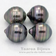 Lot of 4 Tahitian Pearls Ringed C from 9.5 to 9.8 mm