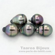 Lot of 5 Tahitian Pearls Ringed B from 8.6 to 8.8 mm