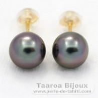 18K solid Gold Earrings and 2 Tahitian Pearls Round A 8.1 mm