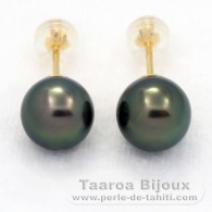 18K solid Gold Earrings and 2 Tahitian Pearls Round 1 A & 1 B 8.8 mm