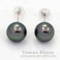 18K Solid White Gold Earrings and 2 Tahitian Pearls Round 1 A & 1 B 8.6 mm