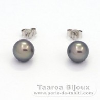 Rhodiated Sterling Silver Earrings and 2 Tahitian Pearls Round C 8.1 mm