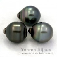 Lot of 3 Tahitian Pearls Ringed C from 12.6 to 12.7 mm