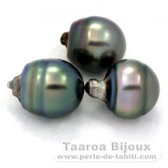 Lot of 3 Tahitian Pearls Ringed C from 11.9 to 12.2 mm