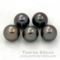 Lot of 5 Tahitian Pearls Round C from 8 to 8.4 mm