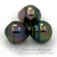 Lot of 3 Tahitian Pearls Ringed B from 9.7 to 9.9 mm
