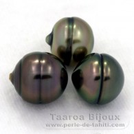 Lot of 3 Tahitian Pearls Ringed B from 10 to 10.2 mm