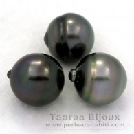 Lot of 3 Tahitian Pearls Ringed C from 12.4 to 12.7 mm
