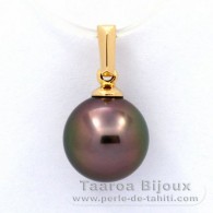 18K solid Gold Pendant and 1 Tahitian Pearl Round A 9.1 mm