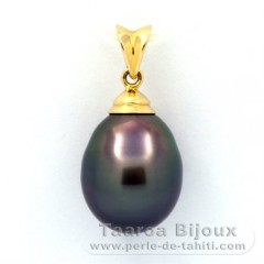 18K solid Gold Pendant and 1 Tahitian Pearl Semi-Baroque B 11.6 mm