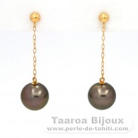 18K solid Gold Earrings and 2 Tahitian Pearls Round B 8.2 mm