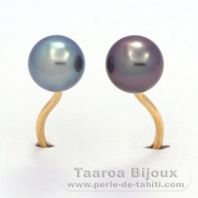 18K Solid Gold Ring and 2 Tahitian Pearls Round B+ 8.3 and 8.5 mm