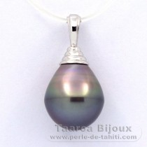 Rhodiated Sterling Silver Pendant and 1 Tahitian Pearl Ringed B 12.5 mm